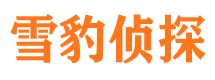 剑河市婚外情调查